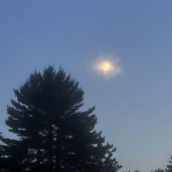 Mecosta Pines Campground - Night