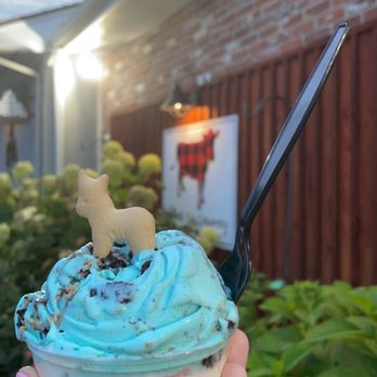 Flannel Cow Creamery - Cookie Monster ice cream on top and limited flavor "everything but the..." on bottom - Ice Cream & Frozen Yogurt Near Me - Mansfield, Massachusetts