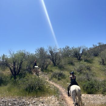 Bettys Trail Rides - Horseback Riding Near Me