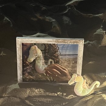 East Hampton Main Beach - More art from last nights menu September 18 2022 - Beaches Near Me - East Hampton, New York