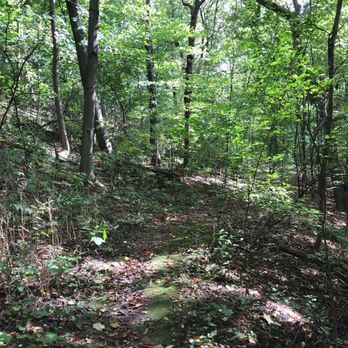 Cedar Ridge Park and Gardens - Trail - Parks Near Me - Toronto, Ontario Cedar Ridge Park and Gardens - Trail - Parks Near Me - Toronto, Ontario