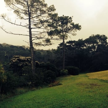 Centennial Park - Dog Parks Near Me - Auckland, AUK