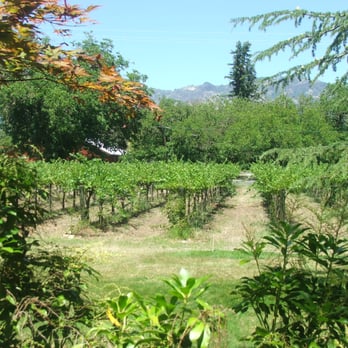 Bear Flag Inn - Same view without window pane - Hotels Near Me - Calistoga, California Bear Flag Inn - Same view without window pane - Hotels Near Me - Calistoga, California