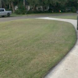 Lawn Love Lawn Care - Left the brown dead grass all over