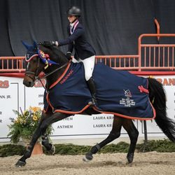 Harley Brown Equestrian