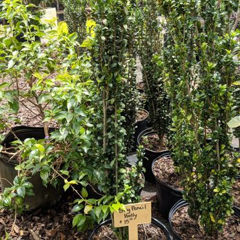 Lee's Trees & Landscaping Nursery - Nurseries & Gardening Near Me - Apopka, Florida