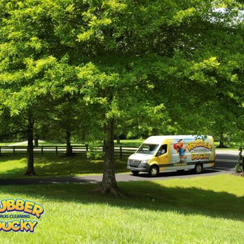 Rubber Rug Cleaning - Carpet Cleaning Near Me - Jasper, Georgia Rubber Rug Cleaning - Carpet Cleaning Near Me - Jasper, Georgia