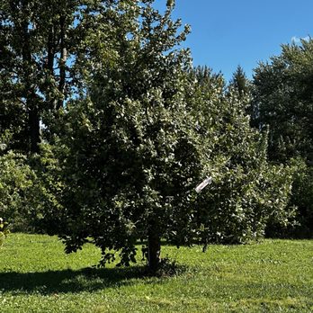 Riamede Farm - Still no apples. - Pick Your Own Farms Near Me - Chester, New Jersey Riamede Farm - Still no apples. - Pick Your Own Farms Near Me - Chester, New Jersey