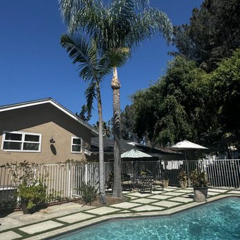 Goldenstate Treescape - Queen palm tree trimming - Landscaping Near Me Goldenstate Treescape - Queen palm tree trimming - Landscaping Near Me