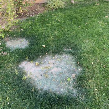 Terrapro - Grounds by Terrapro - Gardeners Near Me
