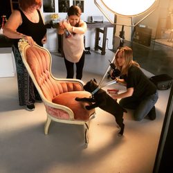 I-Shoot-Dogs - Next Top Pawdel: behind the scenes.