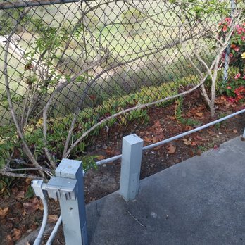 Arbor Task Tree Service - Tree Services Near Me - Lemon Grove, California