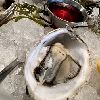 Bluewater Grill Seafood Restaurant & Market Carlsbad - Fanny Bay - Seafood Near Me - Carlsbad, California Bluewater Grill Seafood Restaurant & Market Carlsbad - Fanny Bay - Seafood Near Me - Carlsbad, California