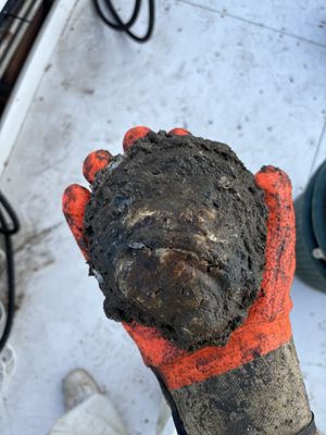 Wild Country Seafood by null