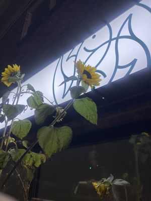 Brothers Fish & Chips by null