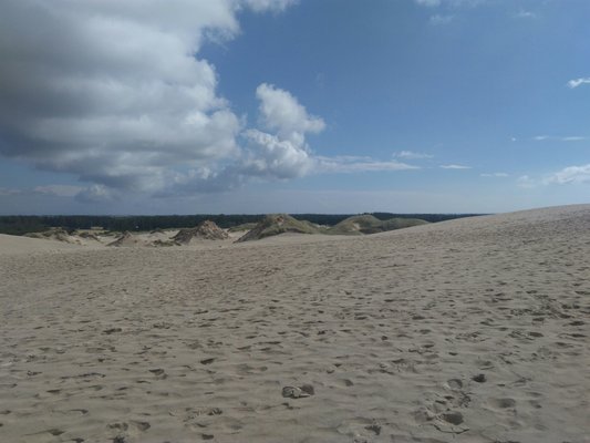 Råbjerg Mile by null