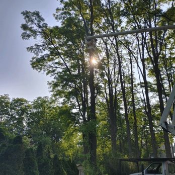 Yard Rescue Services - Tree Services Near Me - Genoa City, Wisconsin
