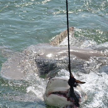 Key West Extreme Adventures - Boating Near Me - Key West, Florida