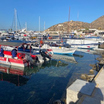 Cabo Blue Boat - The marina. - Snorkeling Near Me - Cabo San Lucas, BCS Cabo Blue Boat - The marina. - Snorkeling Near Me - Cabo San Lucas, BCS