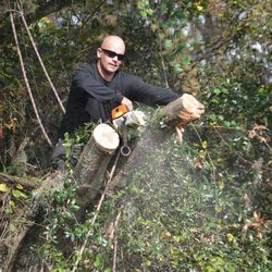 Branch Managers Tree service - Chris Climbing