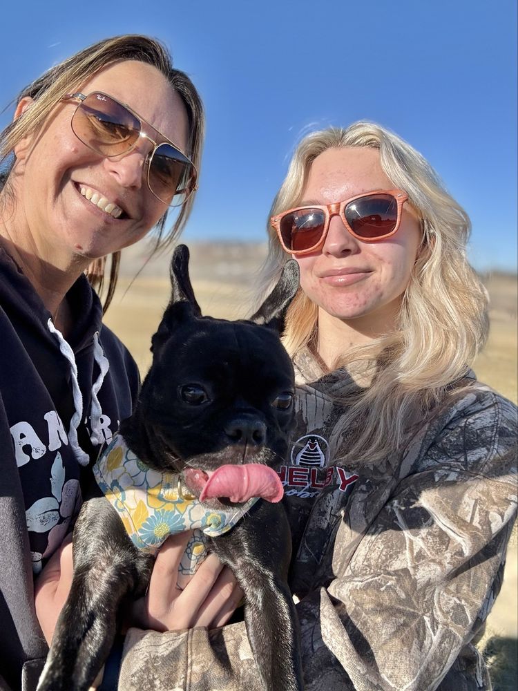 Reno Hair Company Logo