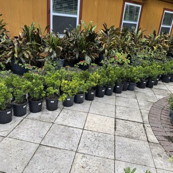 Valkaria Gardens - Nurseries & Gardening Near Me - Palm Bay, Florida Valkaria Gardens - Nurseries & Gardening Near Me - Palm Bay, Florida