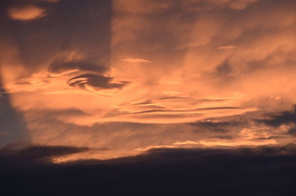 Pacific Whale Foundation by null