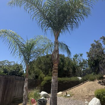 Select Tree Service - Tree Services Near Me Select Tree Service - Tree Services Near Me
