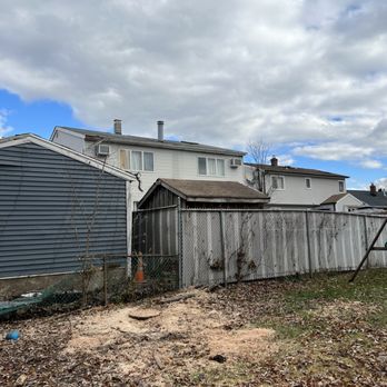 Knock Out Service - Tree Removed Safe Now it's Time to Grind the Stump - Tree Services Near Me Knock Out Service - Tree Removed Safe Now it's Time to Grind the Stump - Tree Services Near Me