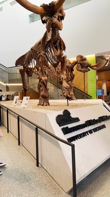 University of Michigan Museum of Natural History by null
