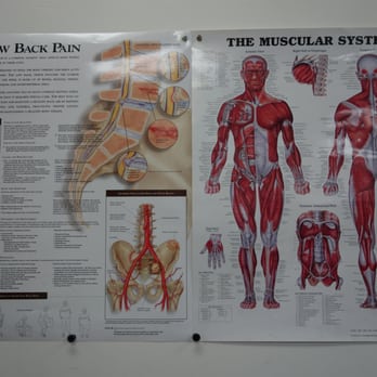 Maximum Physical Therapy - Physical Therapy Near Me - Arcadia, California