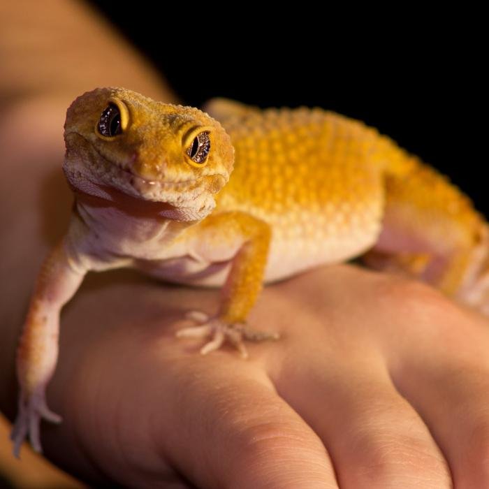 LOYALSOCK ANIMAL HOSPITAL Updated October 2024 32 Photos & 14