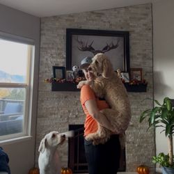 The Lone Star Pet Sitters