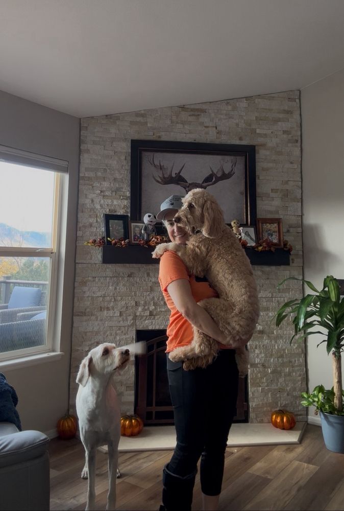 The Lone Star Pet Sitters - pet boarding facility in Monument, CO