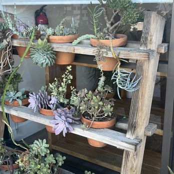 Bloom In Box - Florists Near Me - La Palma, California