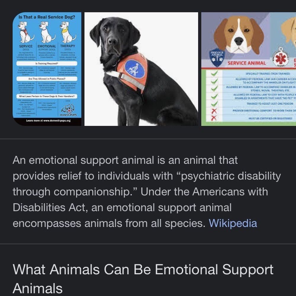 What is an ESA DOG.... What is an ESA DOG....