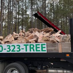 Schnell Tree Service