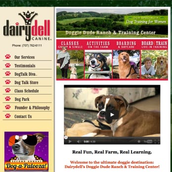 Grey Visual Design - Website design for Dairydell Canine Training - Web Design Near Me - Prescott, Arizona Grey Visual Design - Website design for Dairydell Canine Training - Web Design Near Me - Prescott, Arizona