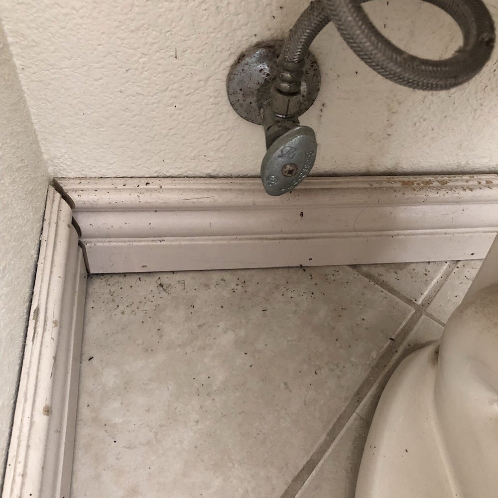 JT's Cleaning Services - Home Cleaning Near Me JT's Cleaning Services - Home Cleaning Near Me