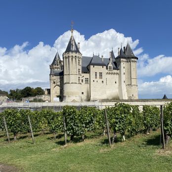 Château de Saumur - Vineyard with Château de Saumur - Castles Near Me - Saumur, 49 Château de Saumur - Vineyard with Château de Saumur - Castles Near Me - Saumur, 49