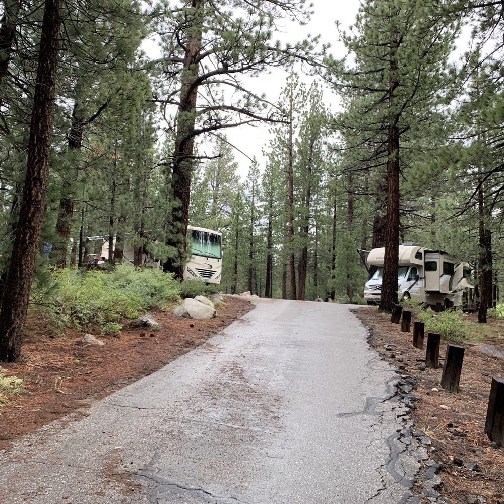 New Shady Rest Campground - Site 158 left side and site 157 right side - Campgrounds Near Me - Mammoth Lakes, California New Shady Rest Campground - Site 158 left side and site 157 right side - Campgrounds Near Me - Mammoth Lakes, California