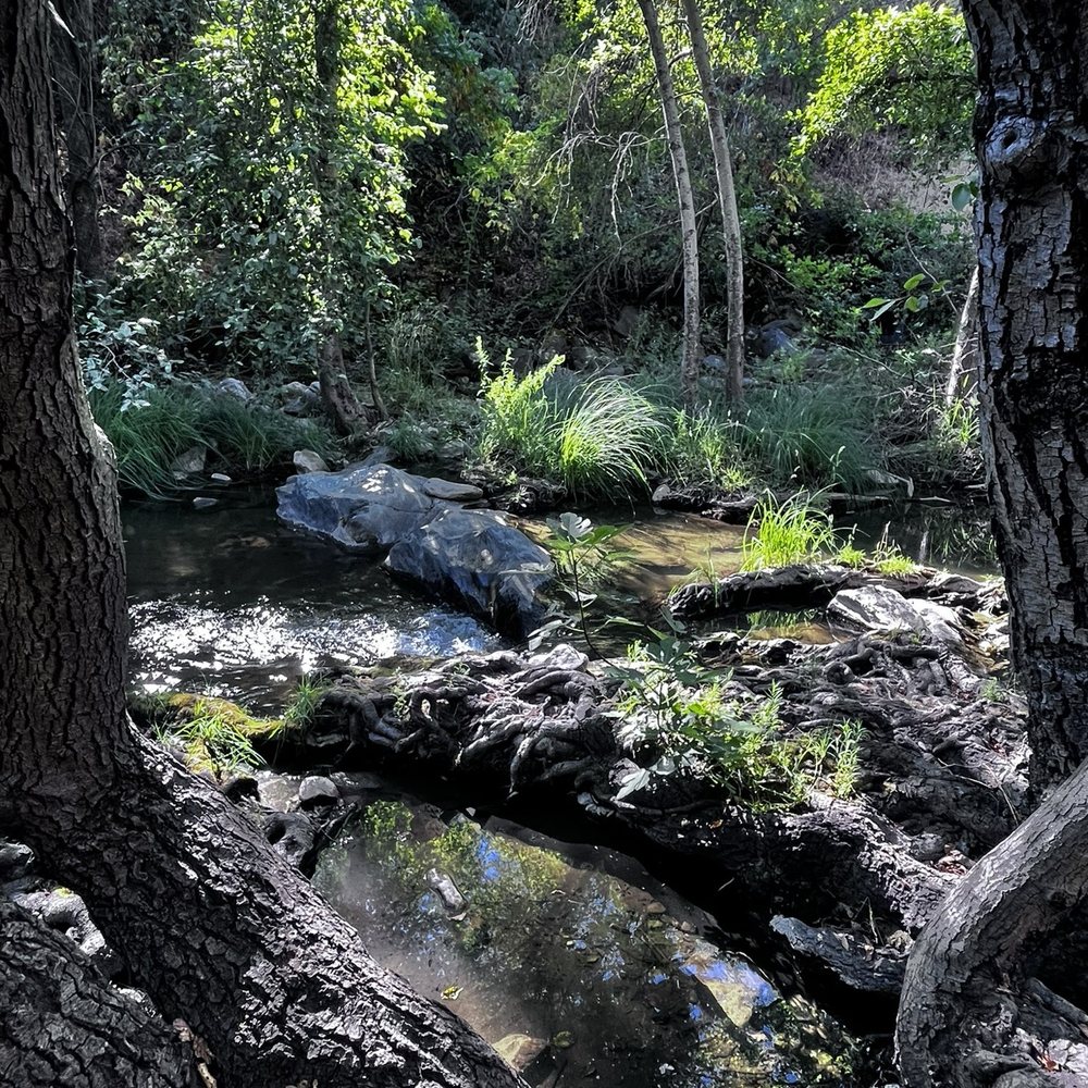 TOP 10 BEST Hiking Trails in San Joaquin County, CA - Updated 2026 - Yelp