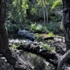 Natural Bridges Hiking Trail gift card