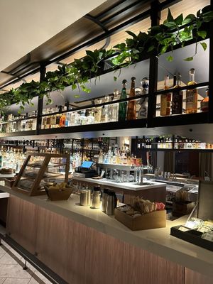 Corinne San Antonio by null