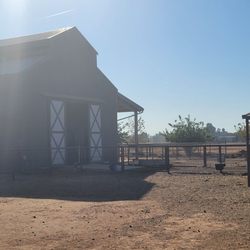 Sweet Thistle Farms - Farm