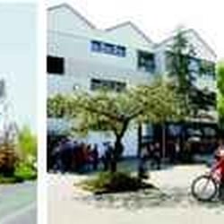 Gymnasium Liebfrauenschule