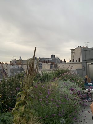 Drawing Hotel by null