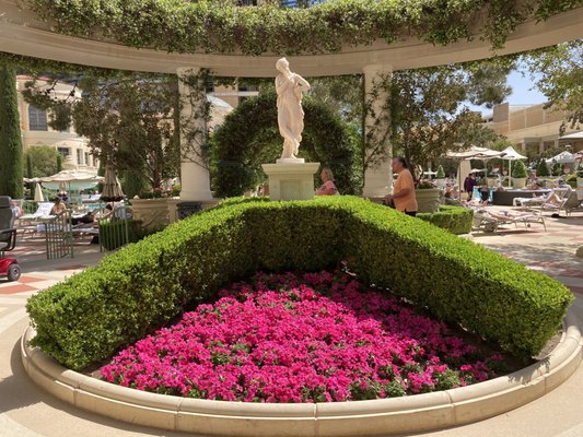 Bellagio Pool by null