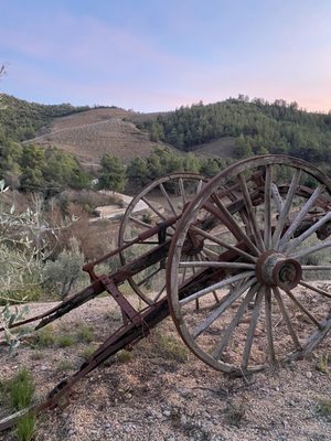 Terra Dominicata - Hotel & Winery by null