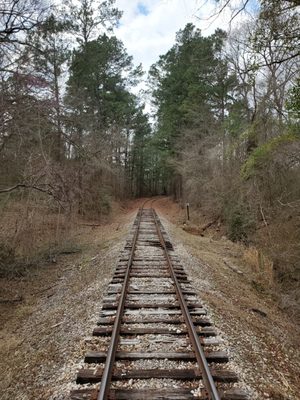 Texas State Railroad - Rusk Depot by null
